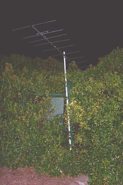 Main T Antenna