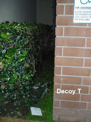 Decoy T